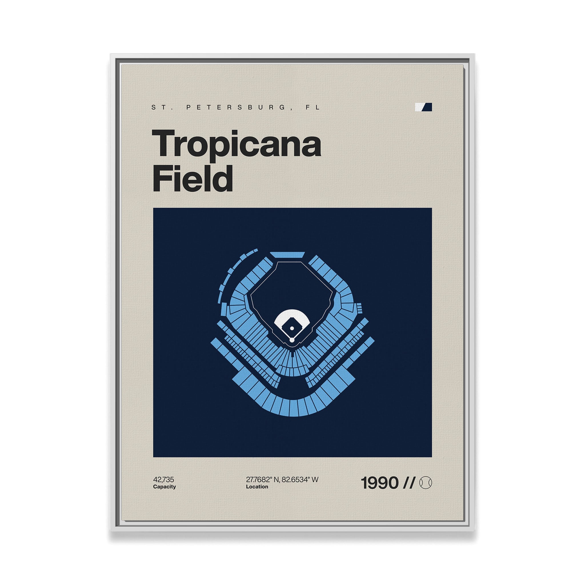 Tampa Bay Baseball Stadium