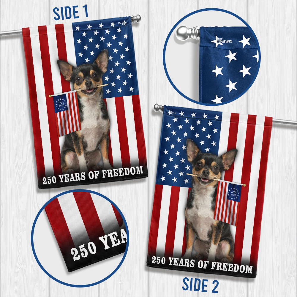 Dog American Flag, 250 Years of Freedom Chihuahua US Flag