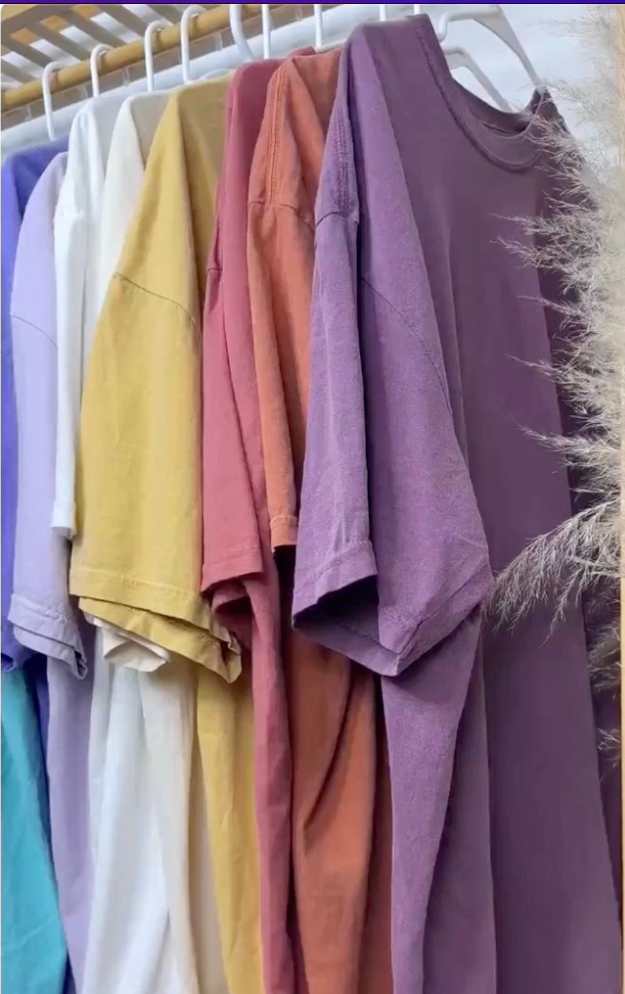 Respect the Locals Manatee Comfort Colors Ocean T-Shirt - Image 9