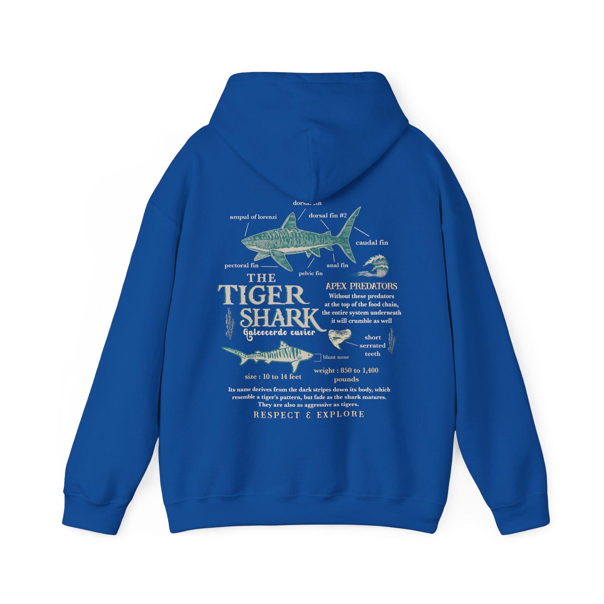 Tiger Shark Anatomy Hoodie - Ocean Lover Marine Biology Sweatshirt - Image 7