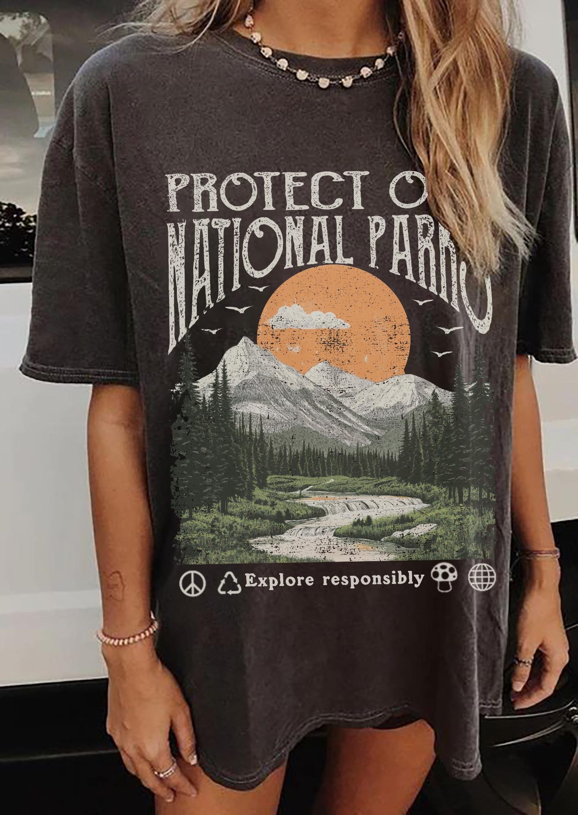 Vintage National Parks Comfort Colors Tee – Protect Our Parks - Image 3