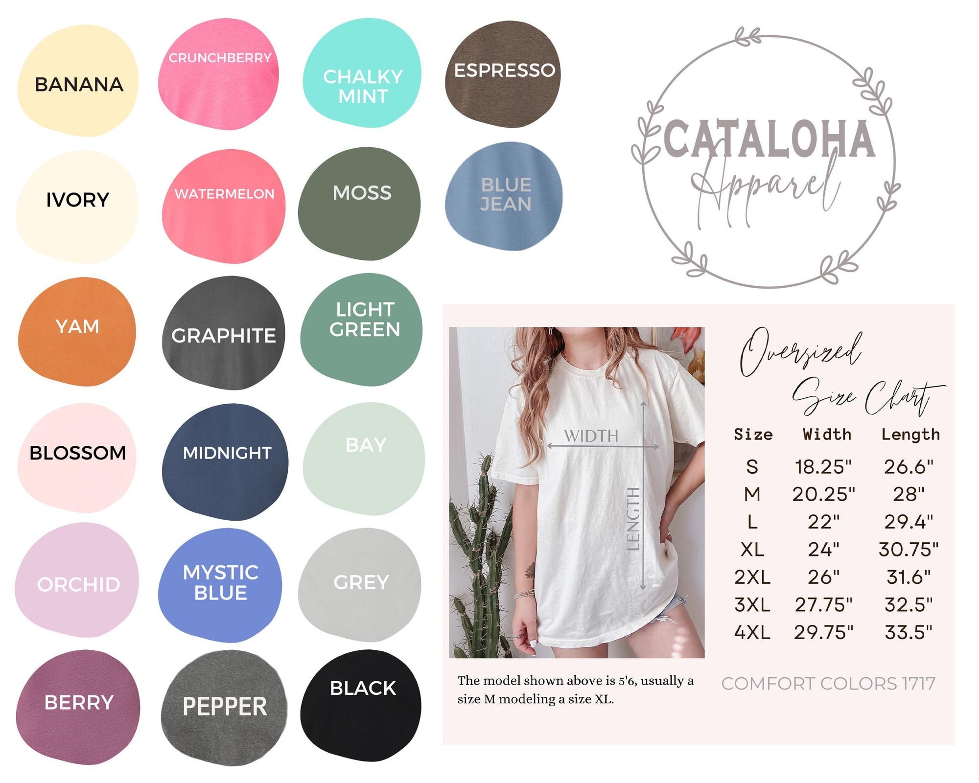 Basgiath War College Vintage Shirt | Fourth Wing Fan Tee - Image 10