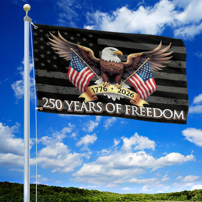 Premium America 250th Anniversary Grommet Flag, America 250th Flag, America 250th Birthday, Best Gifts On Independence Day, Veterans Day.