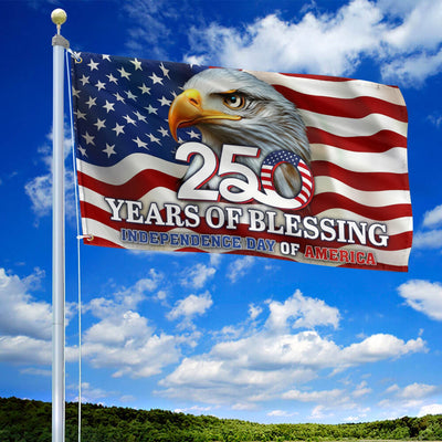 Premium America 250th Anniversary Grommet Flag, America 250th Flag, America 250th Birthday, Best Gifts On Independence Day, Veterans Day.