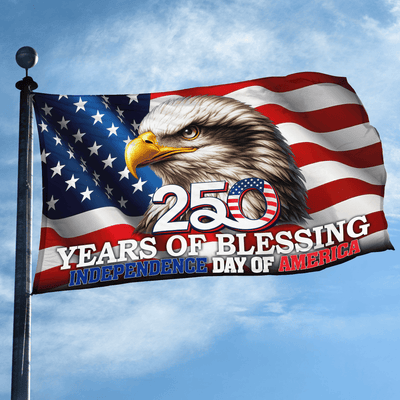 Premium America 250th Anniversary Grommet Flag, America 250th Flag, America 250th Birthday, Best Gifts On Independence Day, Veterans Day.
