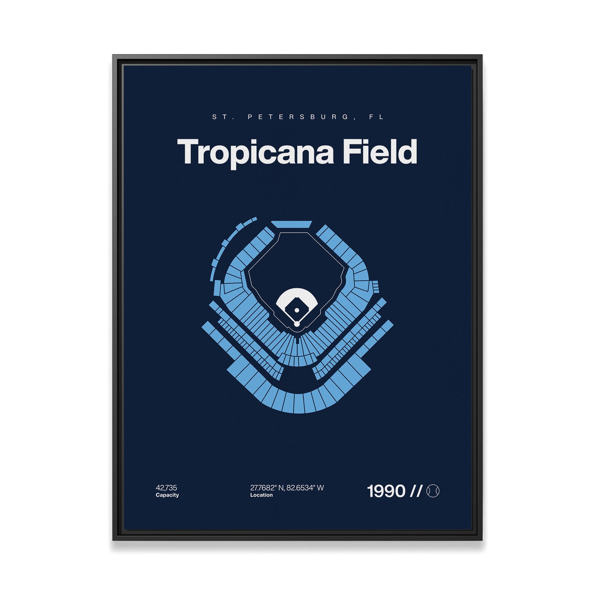 Tampa Bay Baseball Stadium Bold