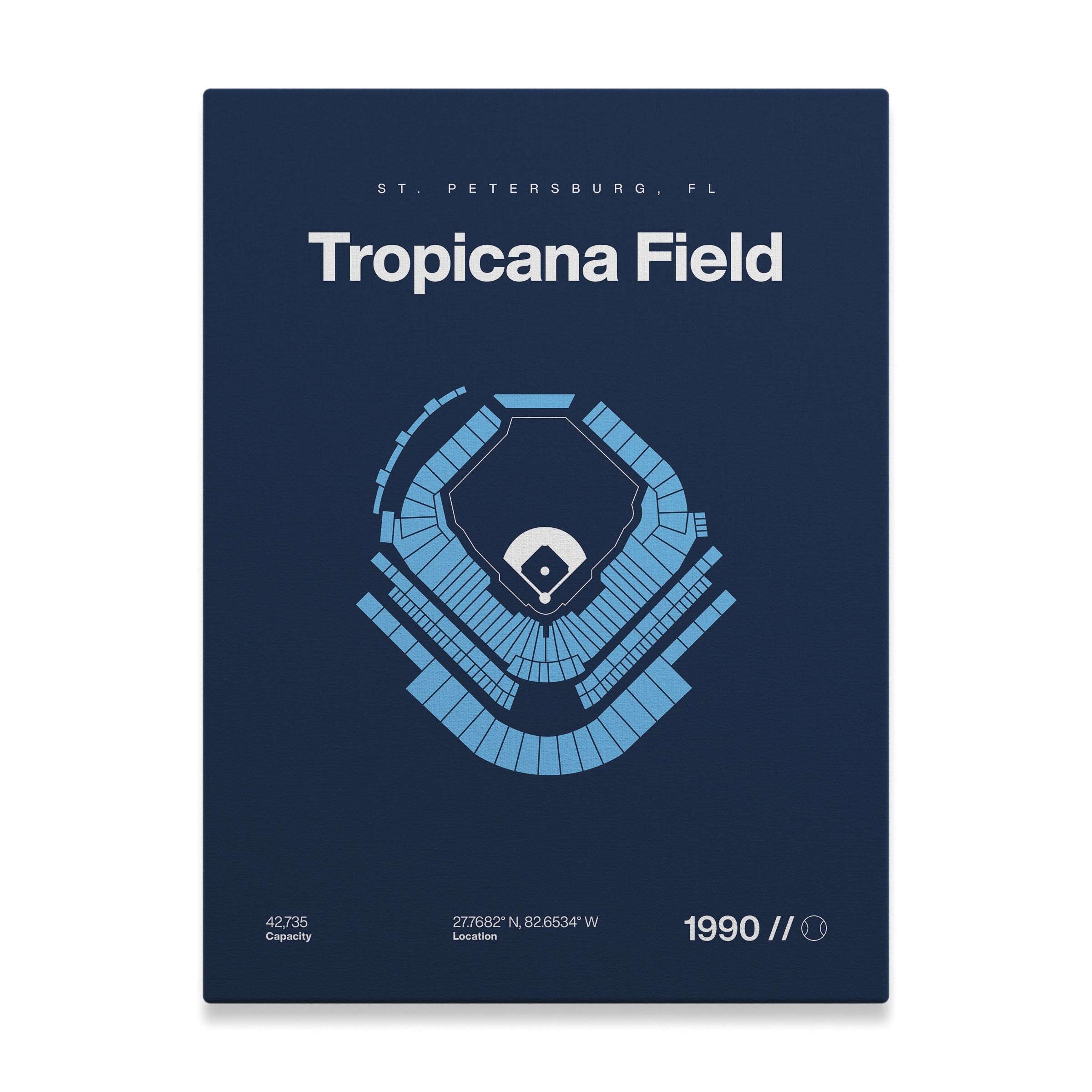 Tampa Bay Baseball Stadium Bold