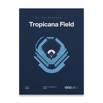 Tampa Bay Baseball Stadium Bold
