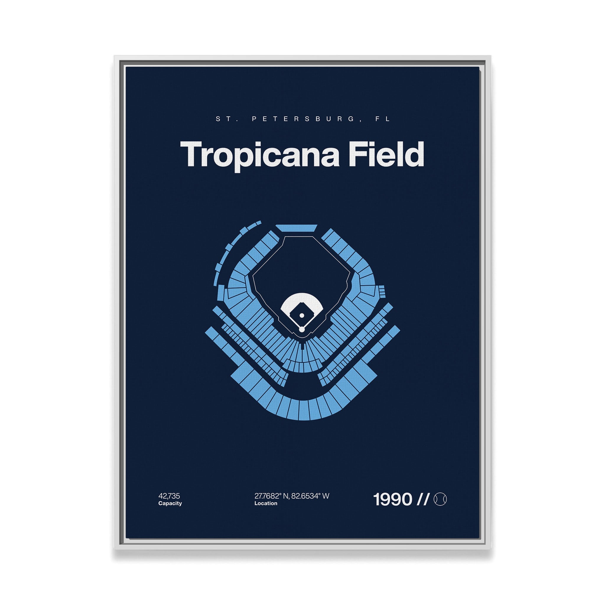 Tampa Bay Baseball Stadium Bold