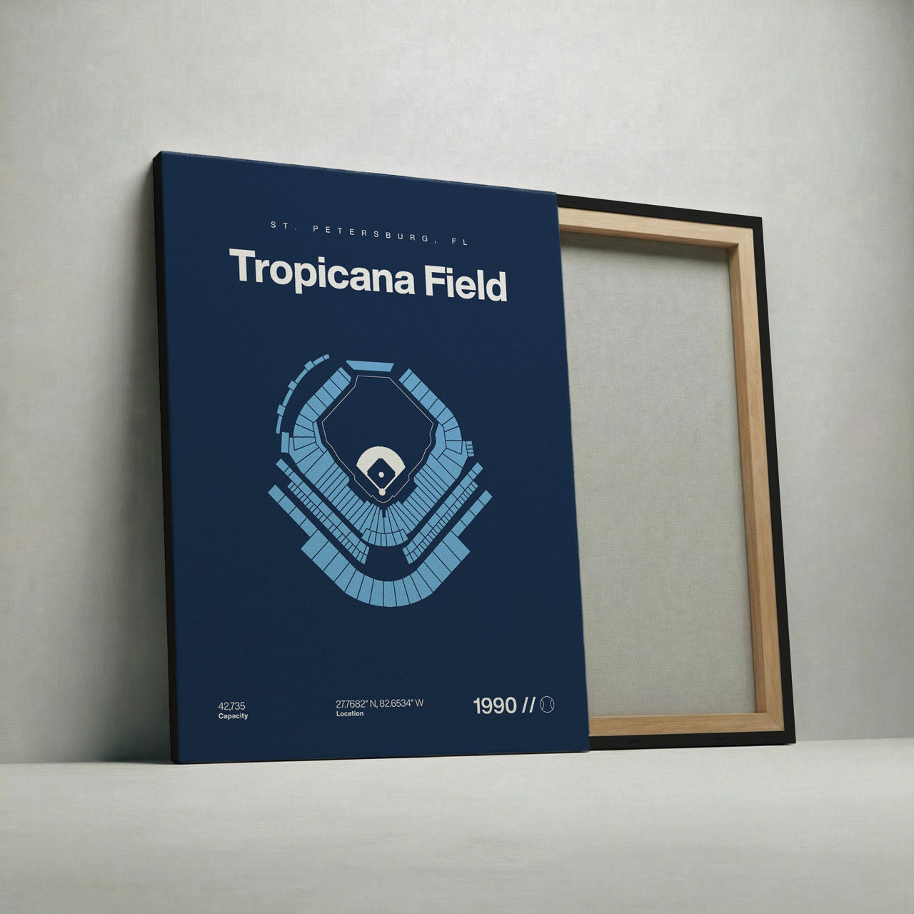 Tampa Bay Baseball Stadium Bold