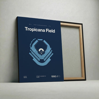 Tampa Bay Baseball Stadium Bold