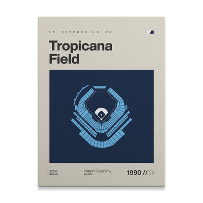 Tampa Bay Baseball Stadium