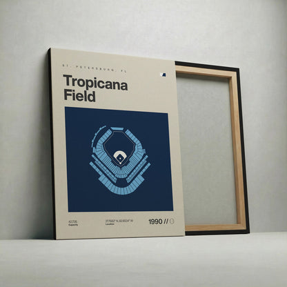 Tampa Bay Baseball Stadium