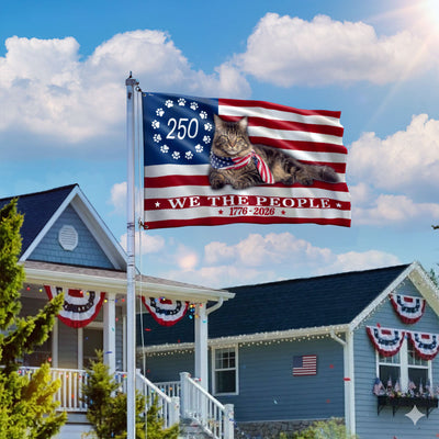 Flagwix Patriotic Cat Flag, 250 Years Maine Coon Cat 1776 2026 Grommet Flag