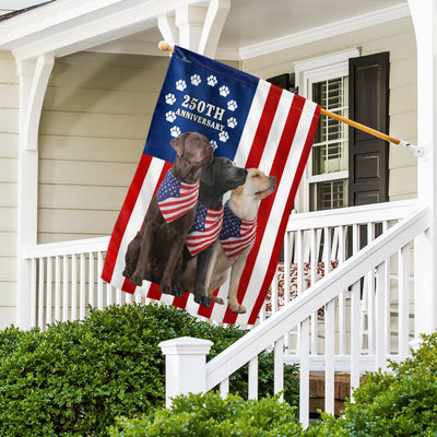 Dog American Flag, 250th Anniversary Labrador Retriever US Flag
