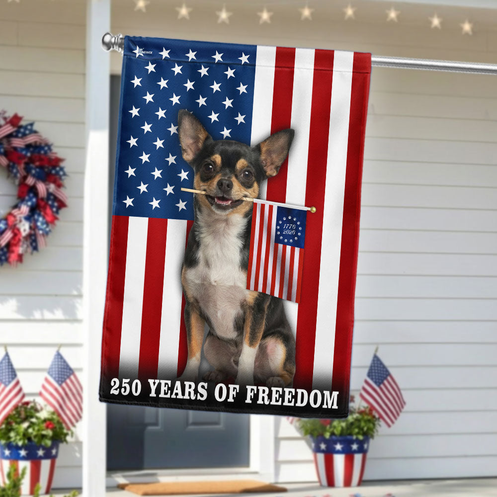 Dog American Flag, 250 Years of Freedom Chihuahua US Flag