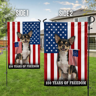 Dog American Flag, 250 Years of Freedom Chihuahua US Flag
