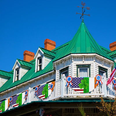 Irish Shamrock American Non-Pleated Fan Flag