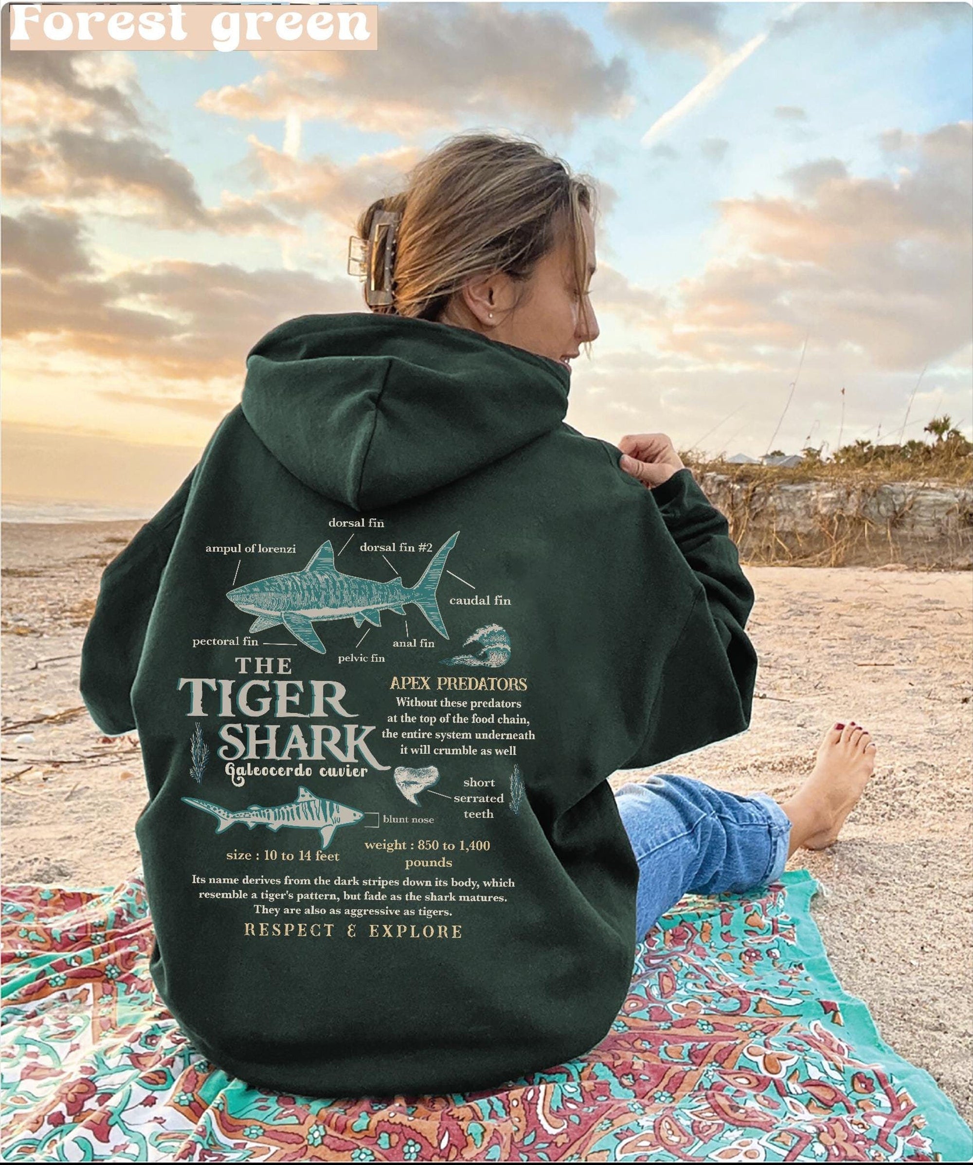 Tiger Shark Anatomy Hoodie - Ocean Lover Marine Biology Sweatshirt - Image 2