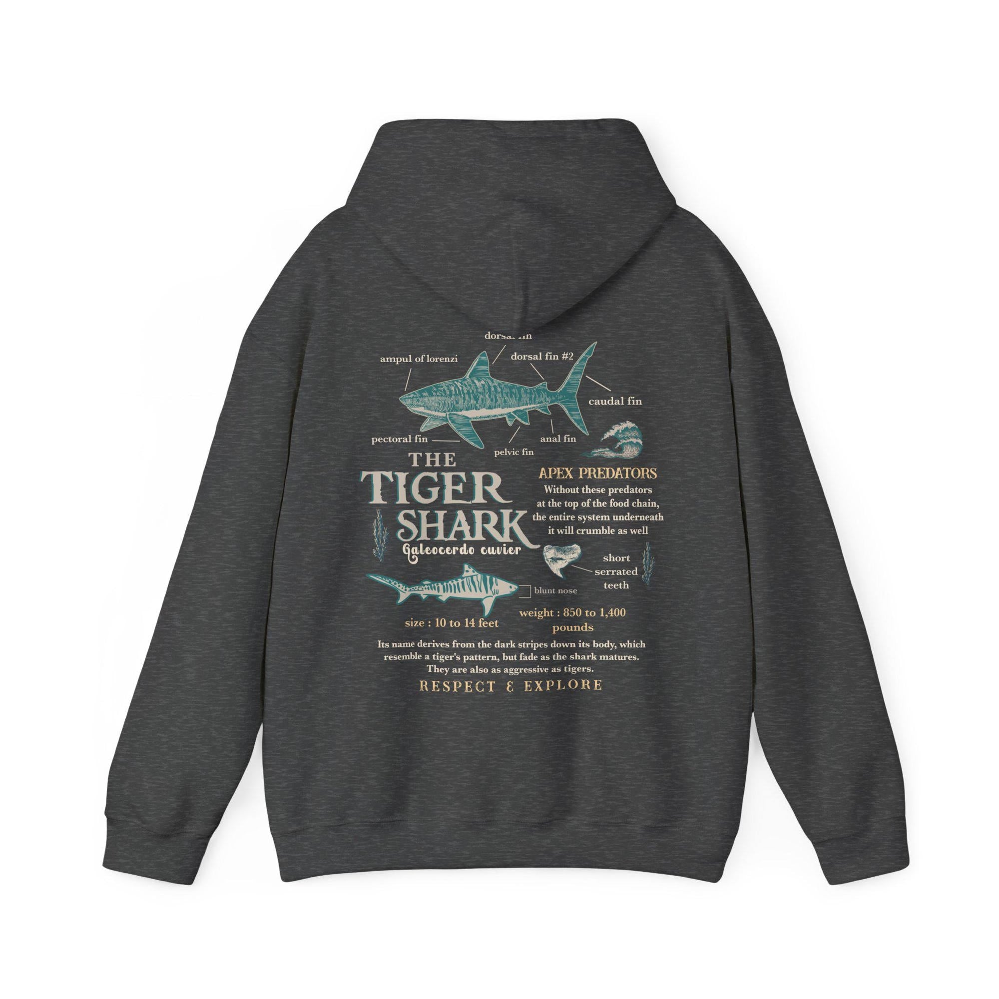 Tiger Shark Anatomy Hoodie - Ocean Lover Marine Biology Sweatshirt - Image 5