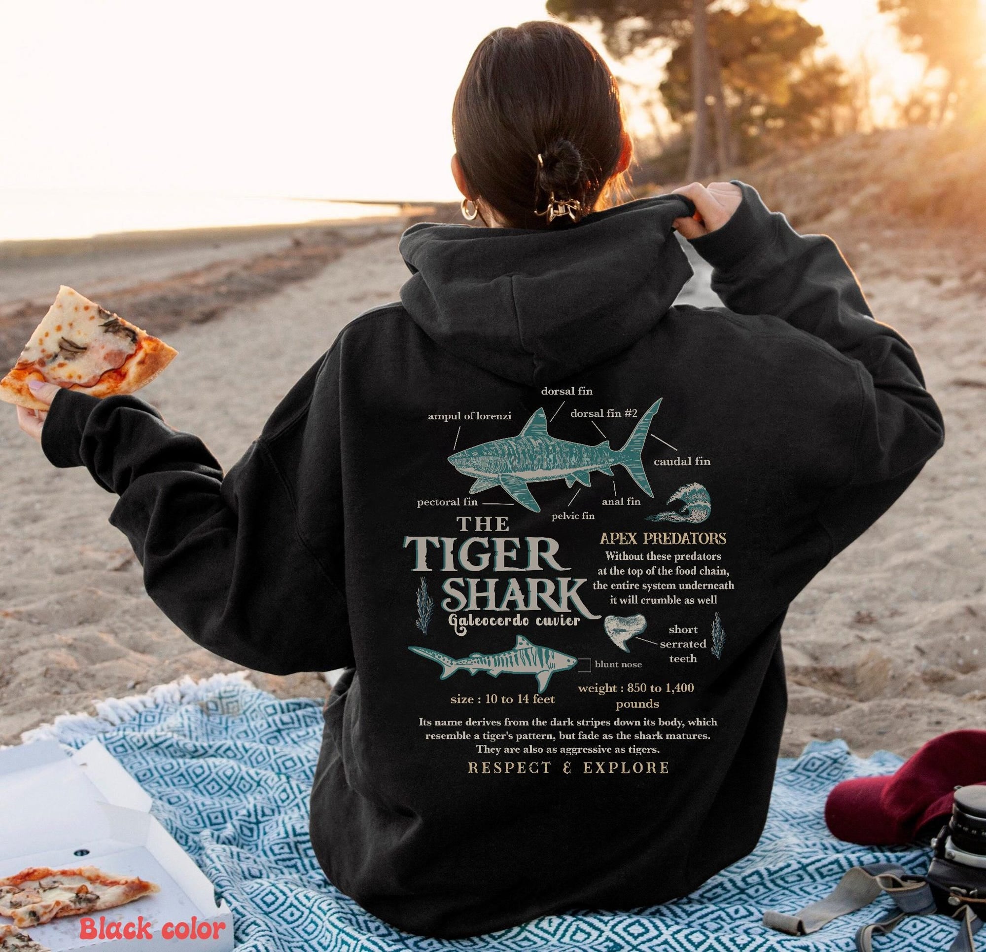 Tiger Shark Anatomy Hoodie - Ocean Lover Marine Biology Sweatshirt