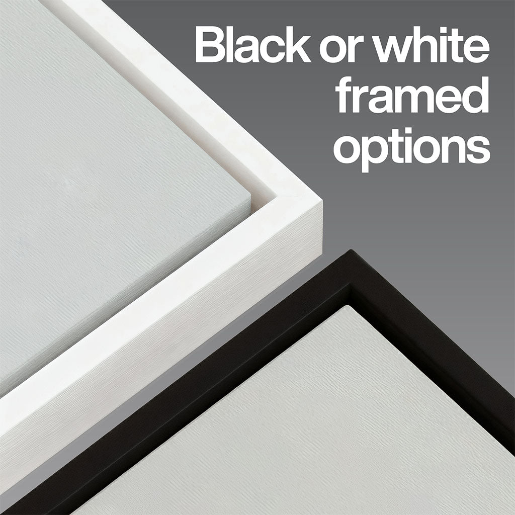 New England Football Stadium