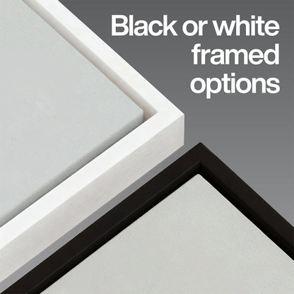 Austin Soccer Stadium Bold