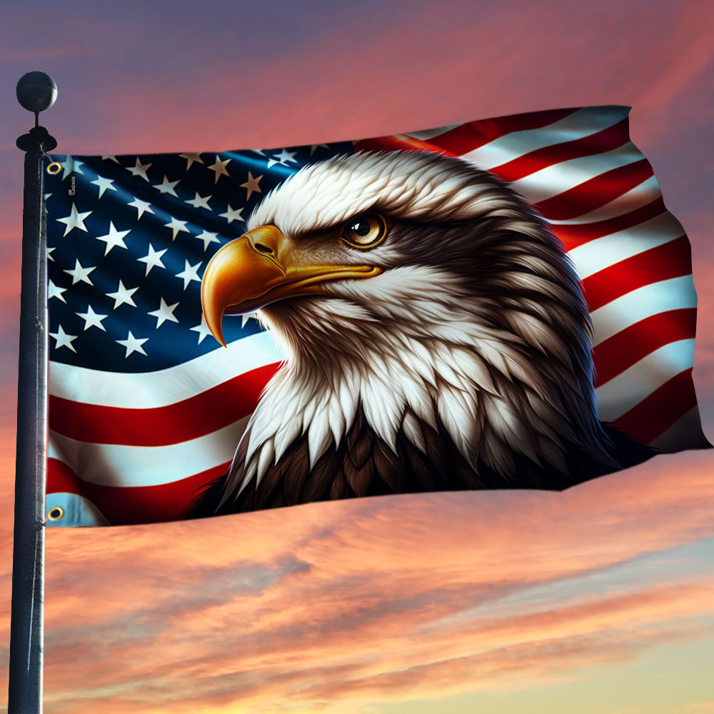 Flagwix American Flag, America 250th Anniversary Patriotic Eagle American Grommet Flag 3-Day Shipping